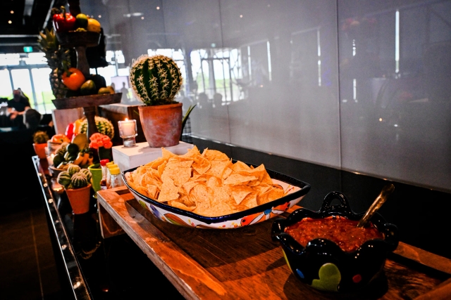 Large bowl of nachos next to a medium bowl of salsa.